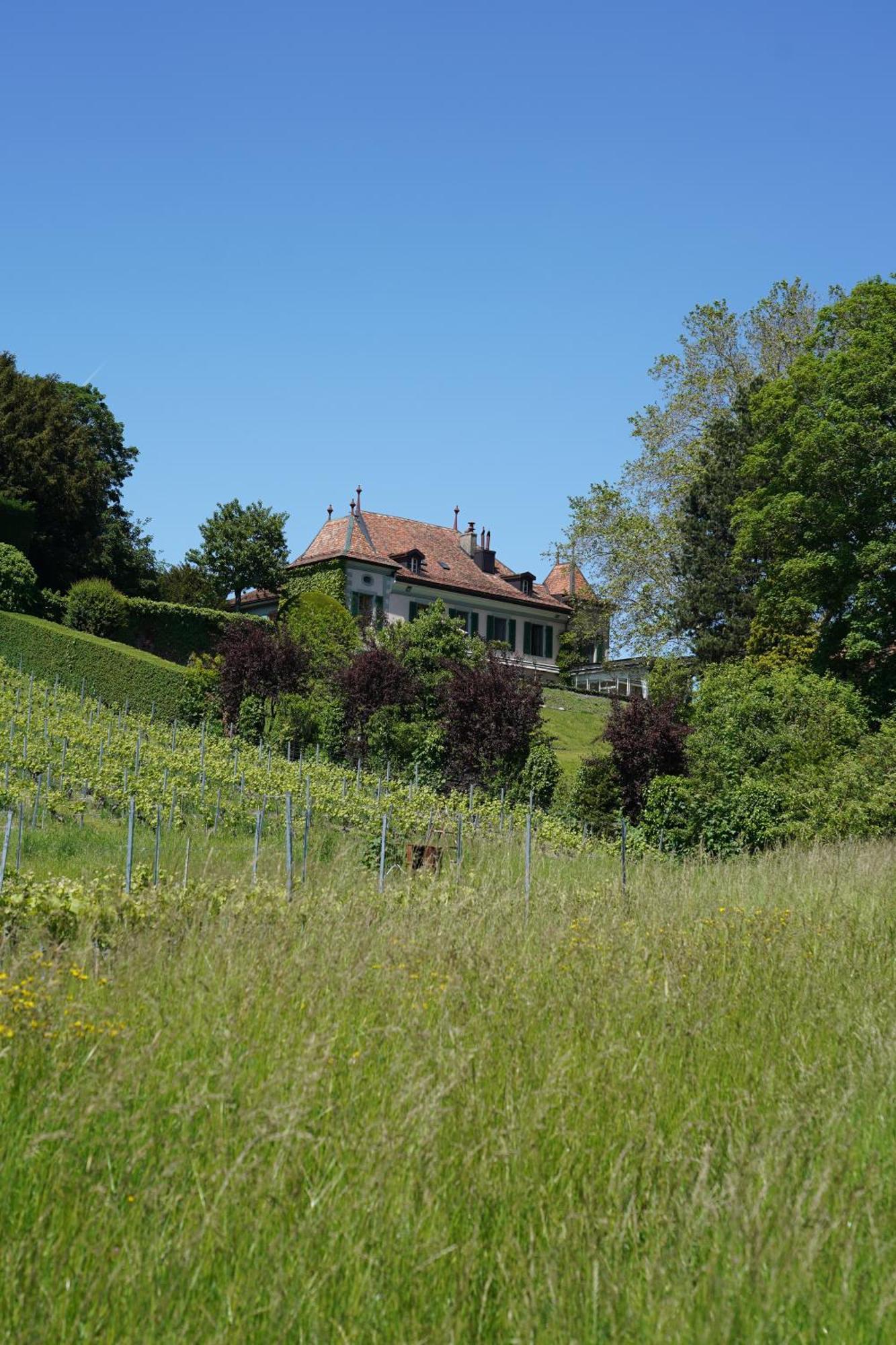 Le Chateau Lavigny ภายนอก รูปภาพ
